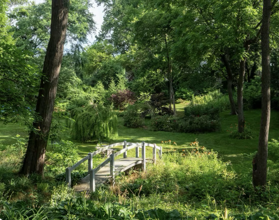 Garden footbridge in the back